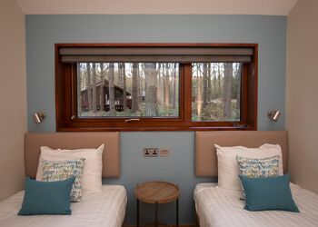 Silver Birch 3 (Pet) - Sherwood Forest Lodges, Sherwood Forest, Nr Edwinstowe