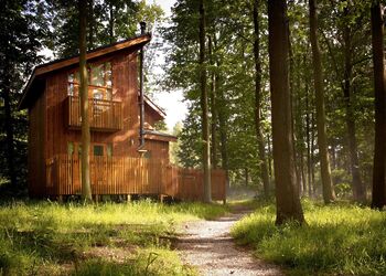 Golden Oak 1 (Pet) - Sherwood Forest Lodges, Sherwood Forest, Nr Edwinstowe
