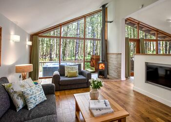 Golden Oak 2 (Pet) - Sherwood Forest Lodges, Sherwood Forest, Nr Edwinstowe