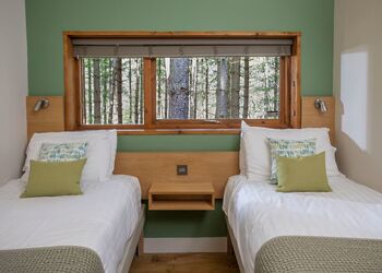 Golden Oak 3 (Pet) - Sherwood Forest Lodges, Sherwood Forest, Nr Edwinstowe