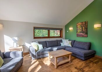 Golden Oak 4 (Pet) - Sherwood Forest Lodges, Sherwood Forest, Nr Edwinstowe