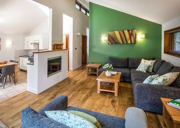 Golden Oak Treehouse (Pet) - Sherwood Forest Lodges, Sherwood Forest, Nr Edwinstowe