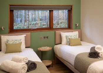 Golden Oak Treehouse (Pet) - Sherwood Forest Lodges, Sherwood Forest, Nr Edwinstowe