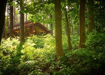 Golden Oak Hideaway (Pet) - Sherwood Forest Lodges, Sherwood Forest, Nr Edwinstowe