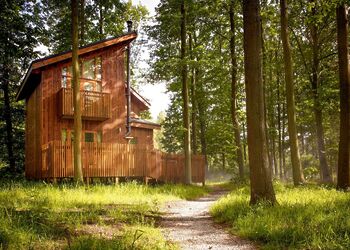 Golden Oak 1 - Sherwood Forest Lodges, Sherwood Forest, Nr Edwinstowe