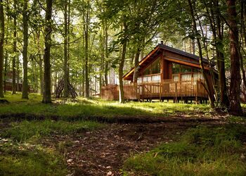 Golden Oak 2 - Sherwood Forest Lodges, Sherwood Forest, Nr Edwinstowe