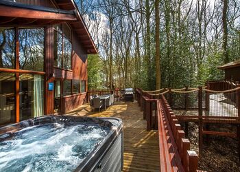 Golden Oak Treehouse - Sherwood Forest Lodges, Sherwood Forest, Nr Edwinstowe
