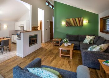 Golden Oak Treehouse - Sherwood Forest Lodges, Sherwood Forest, Nr Edwinstowe