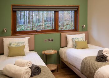 Golden Oak Treehouse - Sherwood Forest Lodges, Sherwood Forest, Nr Edwinstowe