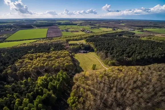 Sherwood Forest Lodges