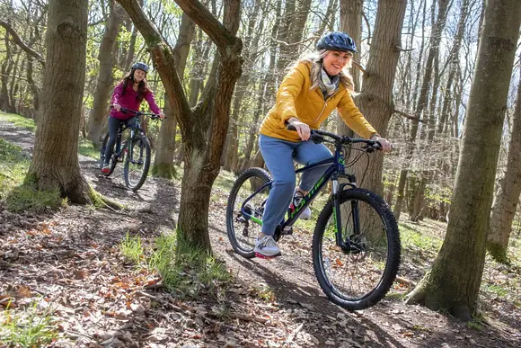 Sherwood Forest Lodges, Sherwood Forest, Nr Edwinstowe