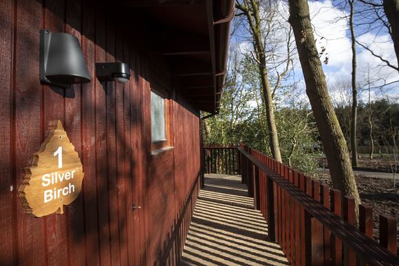 Silver Birch 2 WF (Pet) - Sherwood Forest Lodges, Sherwood Forest, Nr Edwinstowe