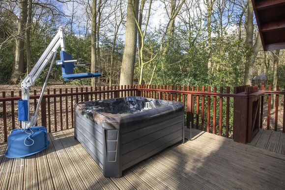 Silver Birch 2 WF (Pet) - Sherwood Forest Lodges, Sherwood Forest, Nr Edwinstowe