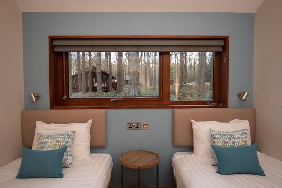 Silver Birch 3 (Pet) - Sherwood Forest Lodges, Sherwood Forest, Nr Edwinstowe