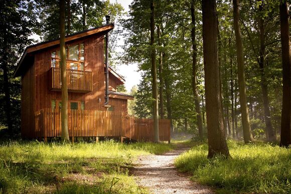 Golden Oak 1 (Pet) - Sherwood Forest Lodges, Sherwood Forest, Nr Edwinstowe