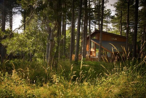 Golden Oak 4 (Pet) - Sherwood Forest Lodges, Sherwood Forest, Nr Edwinstowe