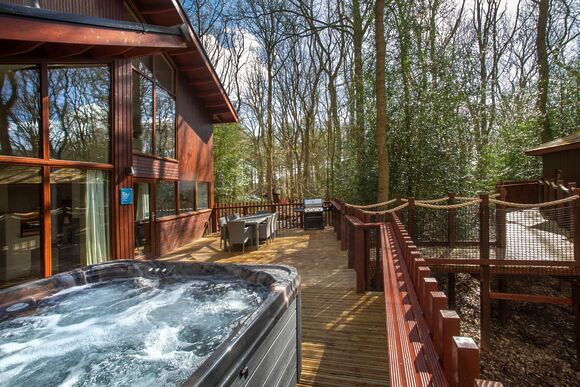 Golden Oak Treehouse (Pet) - Sherwood Forest Lodges, Sherwood Forest, Nr Edwinstowe