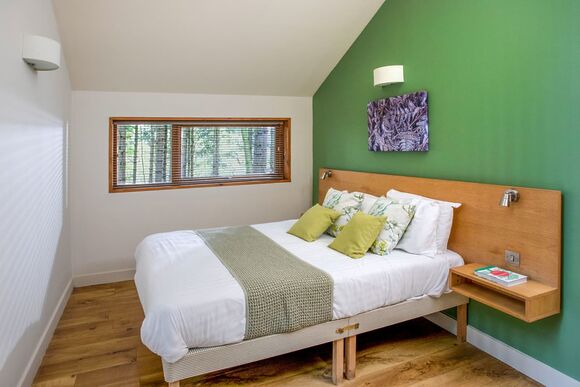 Golden Oak Treehouse (Pet) - Sherwood Forest Lodges, Sherwood Forest, Nr Edwinstowe