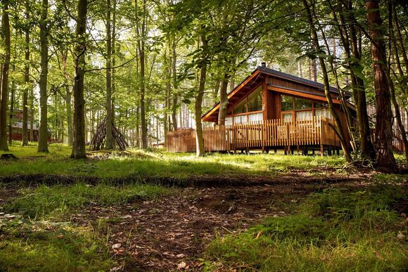 New Golden Oak 2 - Sherwood Forest Lodges, Sherwood Forest, Nr Edwinstowe