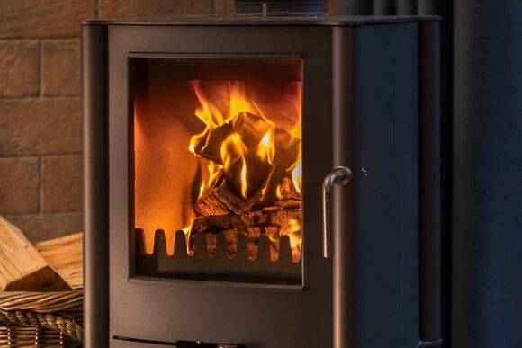 Golden Oak Hideaway (Pet) - Sherwood Forest Lodges, Sherwood Forest, Nr Edwinstowe