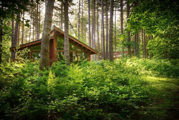 Silver Birch 3 - Sherwood Forest Lodges, Sherwood Forest, Nr Edwinstowe