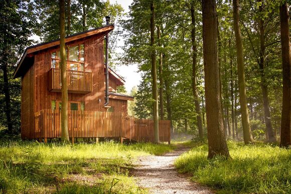Golden Oak 1 - Sherwood Forest Lodges, Sherwood Forest, Nr Edwinstowe