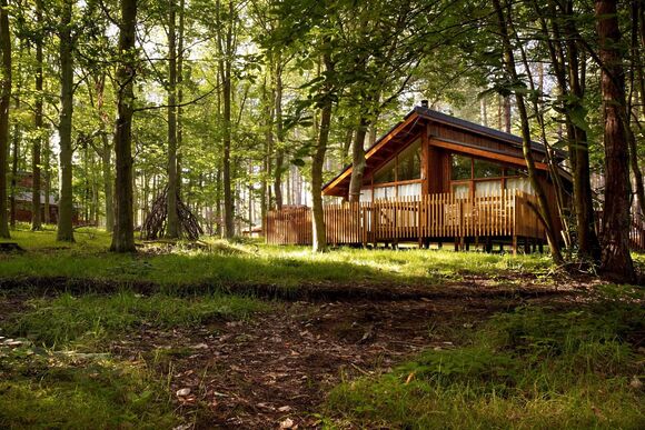 Golden Oak 2 - Sherwood Forest Lodges, Sherwood Forest, Nr Edwinstowe