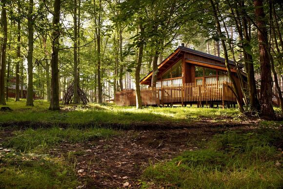 Golden Oak 3 - Sherwood Forest Lodges, Sherwood Forest, Nr Edwinstowe