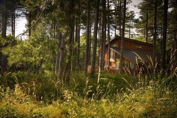 Golden Oak 4 - Sherwood Forest Lodges, Sherwood Forest, Nr Edwinstowe