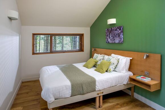 Golden Oak Treehouse - Sherwood Forest Lodges, Sherwood Forest, Nr Edwinstowe