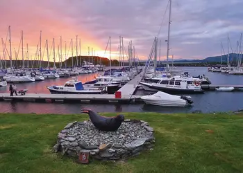 Craobh Marina
