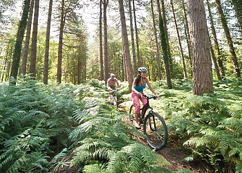 The Sherwood Hideaway Lodges, Perlethorpe, Newark-on-Trent