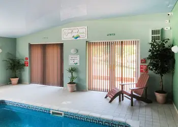 Silver Trees, Cannock Chase