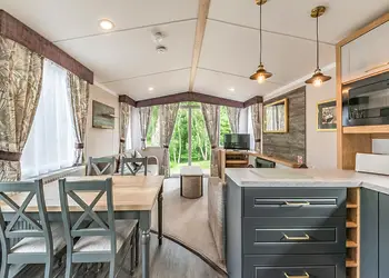 Elderberry - Silver Trees, Cannock Chase