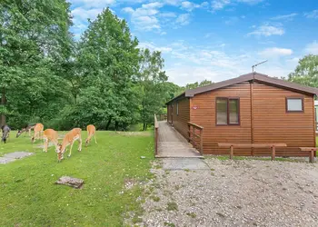 Stags View Lodge - Silver Trees, Cannock Chase