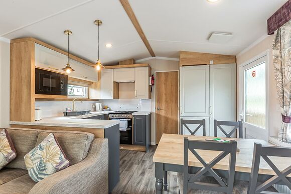 Elderberry - Silver Trees, Cannock Chase