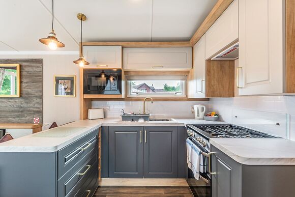 Elderberry - Silver Trees, Cannock Chase