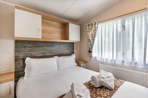 Elderberry - Silver Trees, Cannock Chase