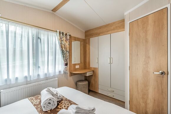 Elderberry - Silver Trees, Cannock Chase