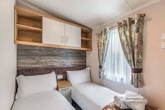 Elderberry - Silver Trees, Cannock Chase