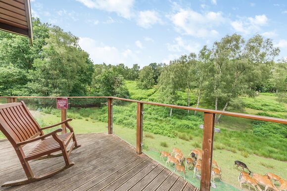 Doe View Lodge - Silver Trees, Cannock Chase