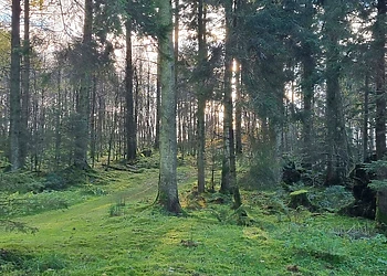 Landal Barnsoul, Shawhead