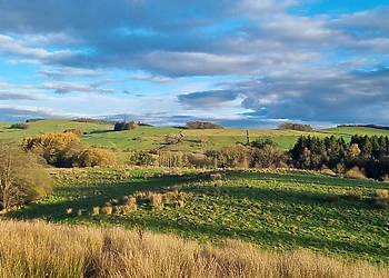 Landal Barnsoul, Shawhead