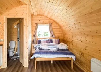 Seagull - Sandy Park, Crimdon