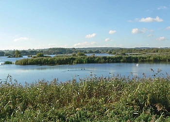 Spindlewood Lodges photo 11