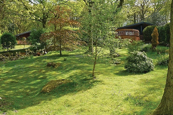 The park setting<br />