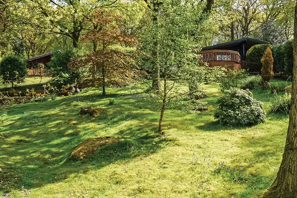 The park setting<br />