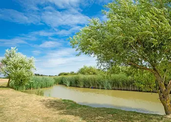 Steeple Bay, Southminster