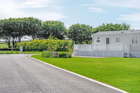 Stowford Farm Meadows