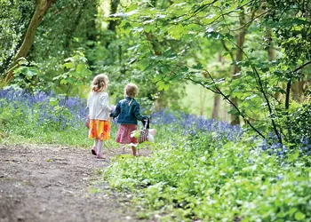 2 Bed Platinum Caravan Hot Tub Caravan Lodge, 2 Bed Bronze Chalet sleeps 4 - St Ives Holiday Village, Lelant, St Ives